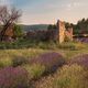 Provence