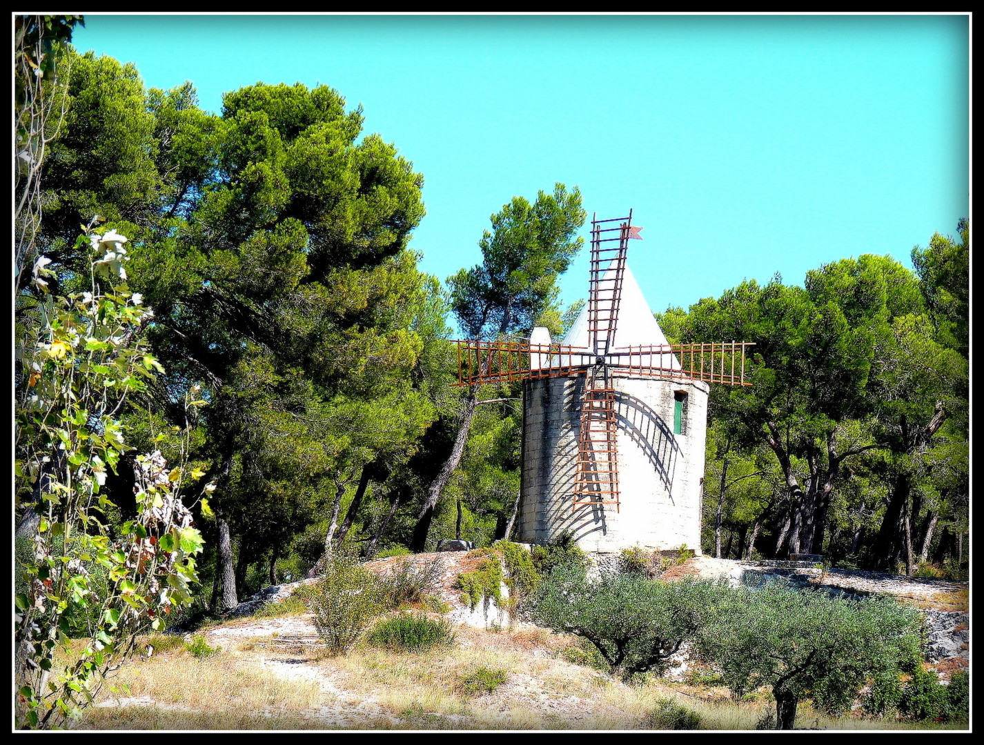 Provence 