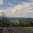 Provence et Lavande. Das ist keine große Fotokunst, ist aber nicht mein Ziele..... ;-)