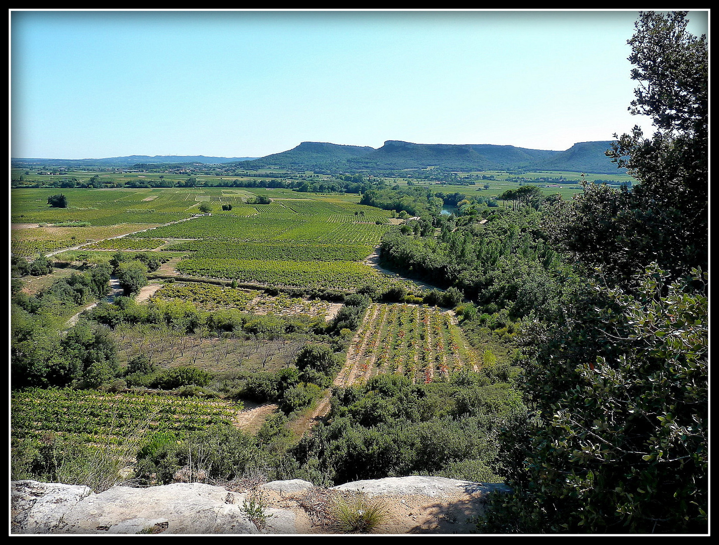 Provence 