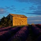 Provence frühmorgens 6:24 Uhr