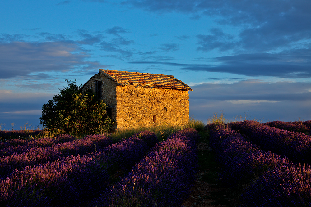 Provence frühmorgens 6:24 Uhr