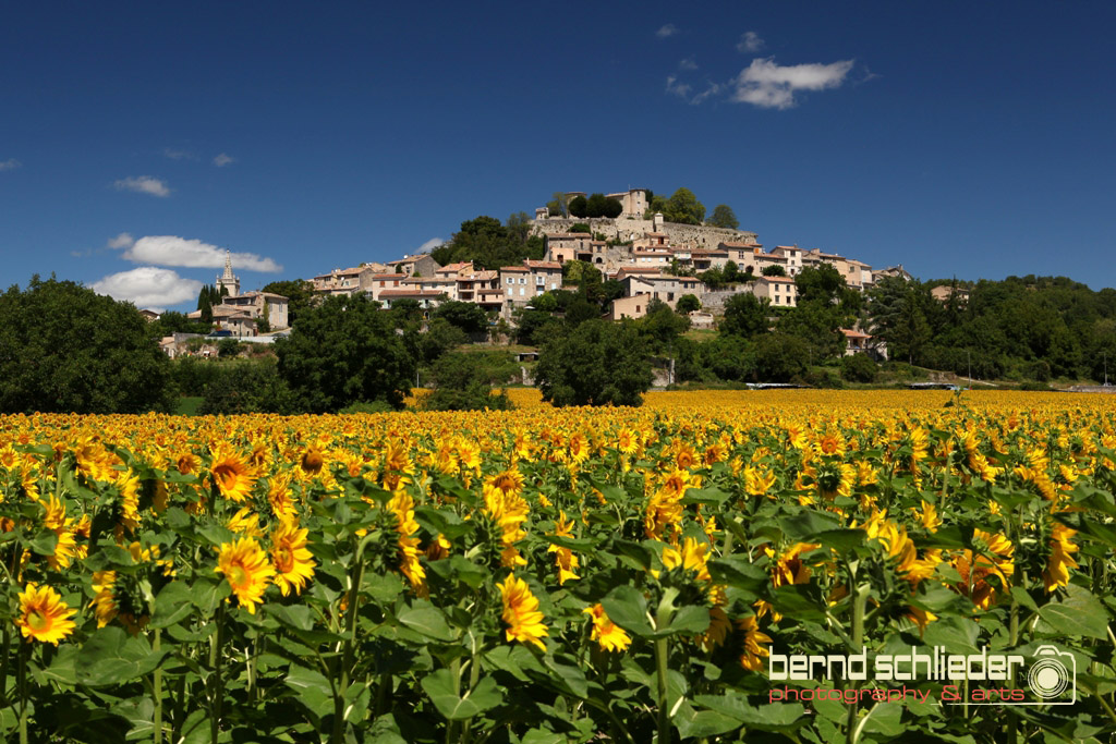 Provence ganz ohne Lavendel