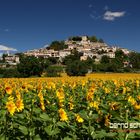 Provence ganz ohne Lavendel