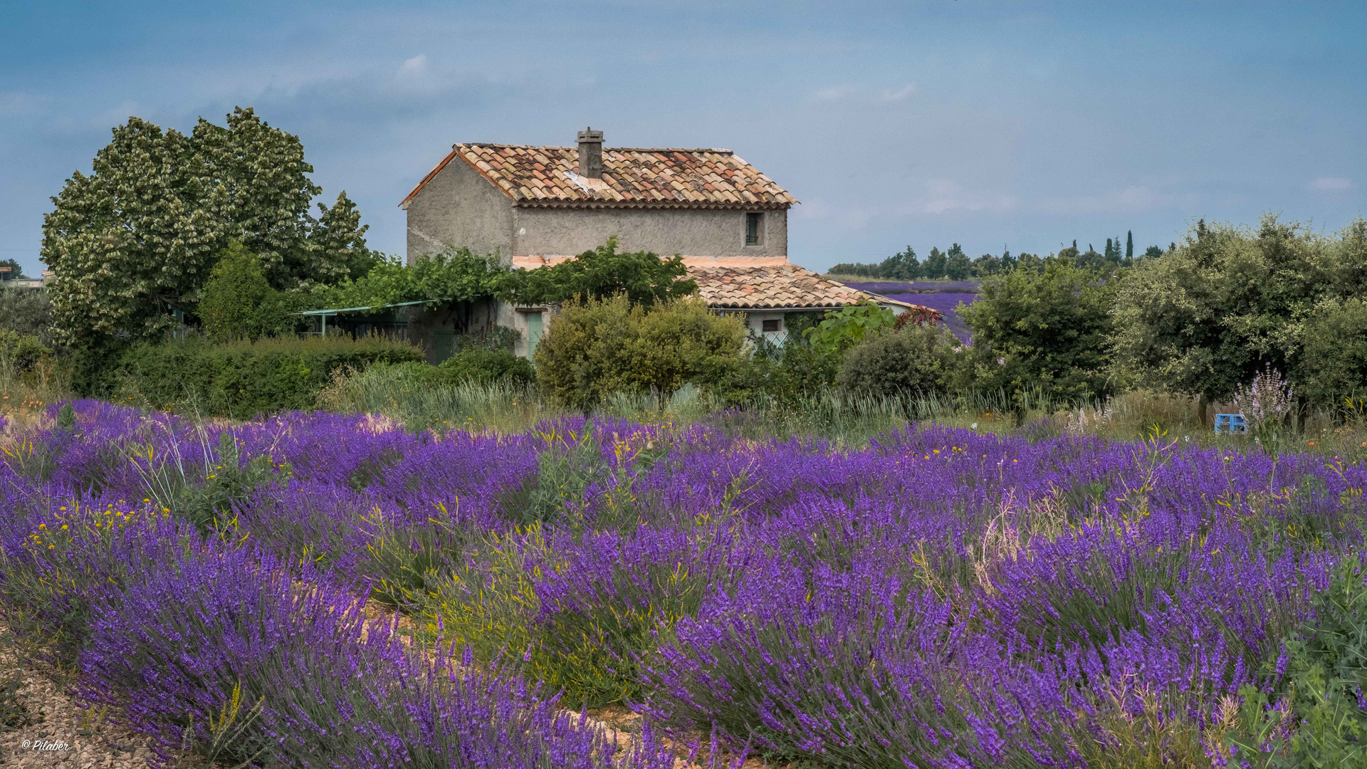 Provence II