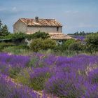 Provence II