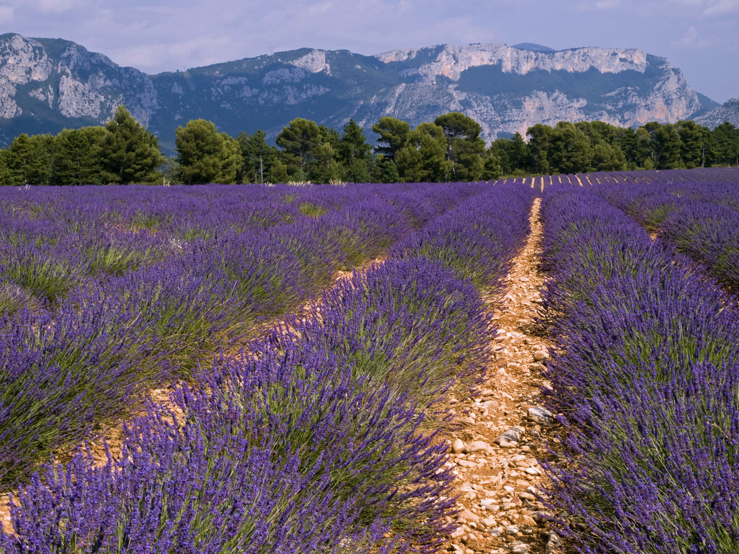 Provence II