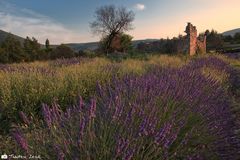 Provence II