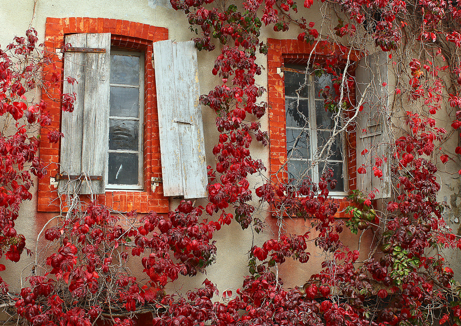 Provence im Herbst 1