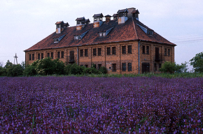 Provence im Osten