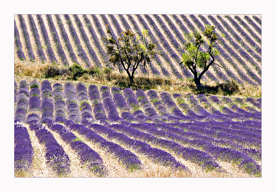 Provence-Impressionen 2