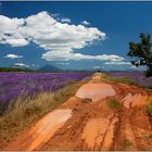 Provence Interne