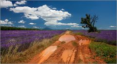 Provence Interne