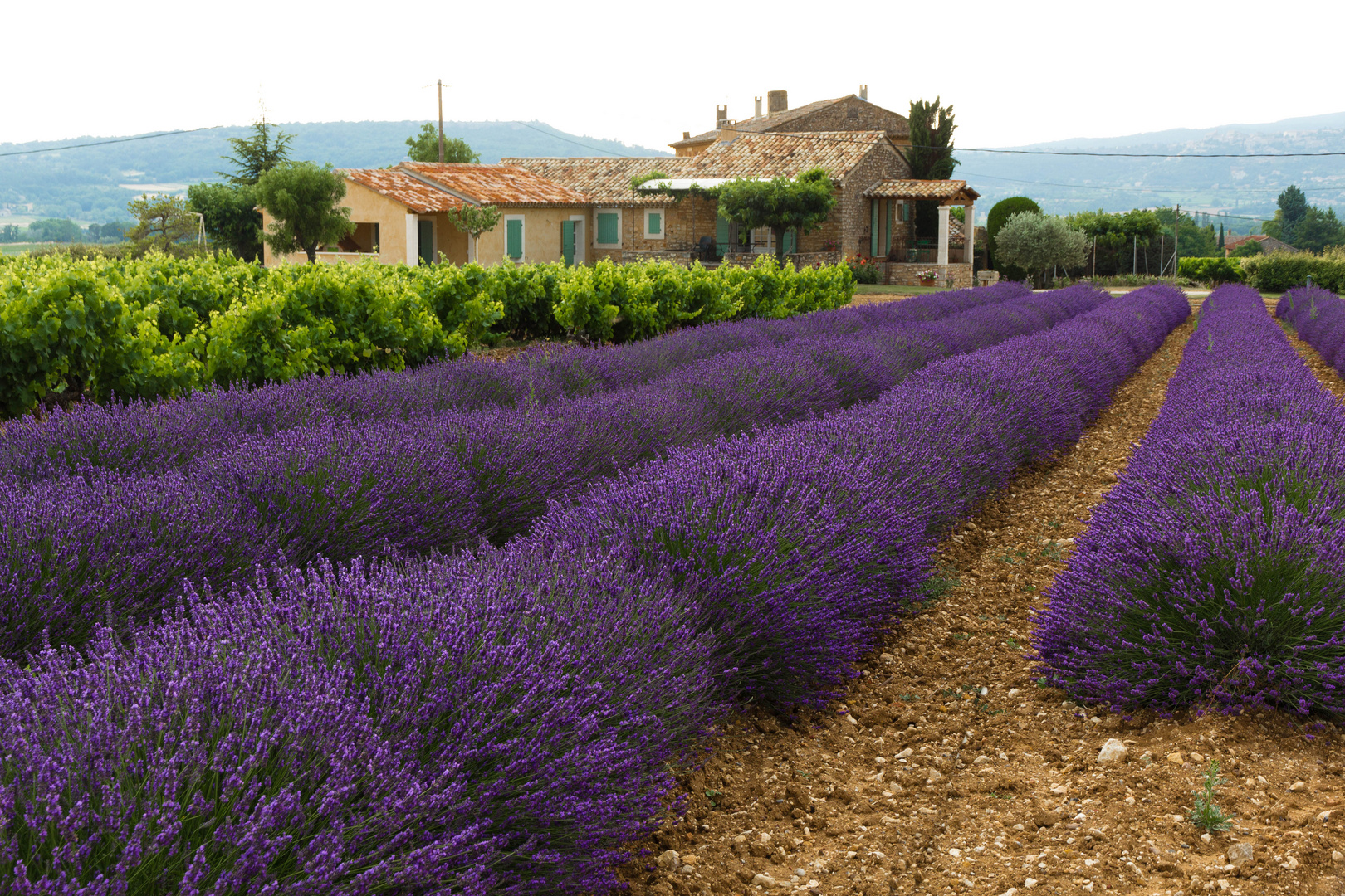 Provence Juli 2013 Impressionen