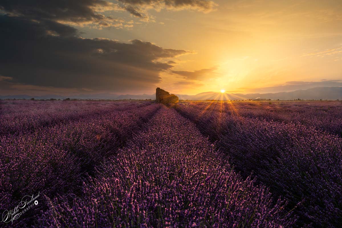 Provence Lavendel Sunrise (aka Hommage to Mad Peter Iversen)