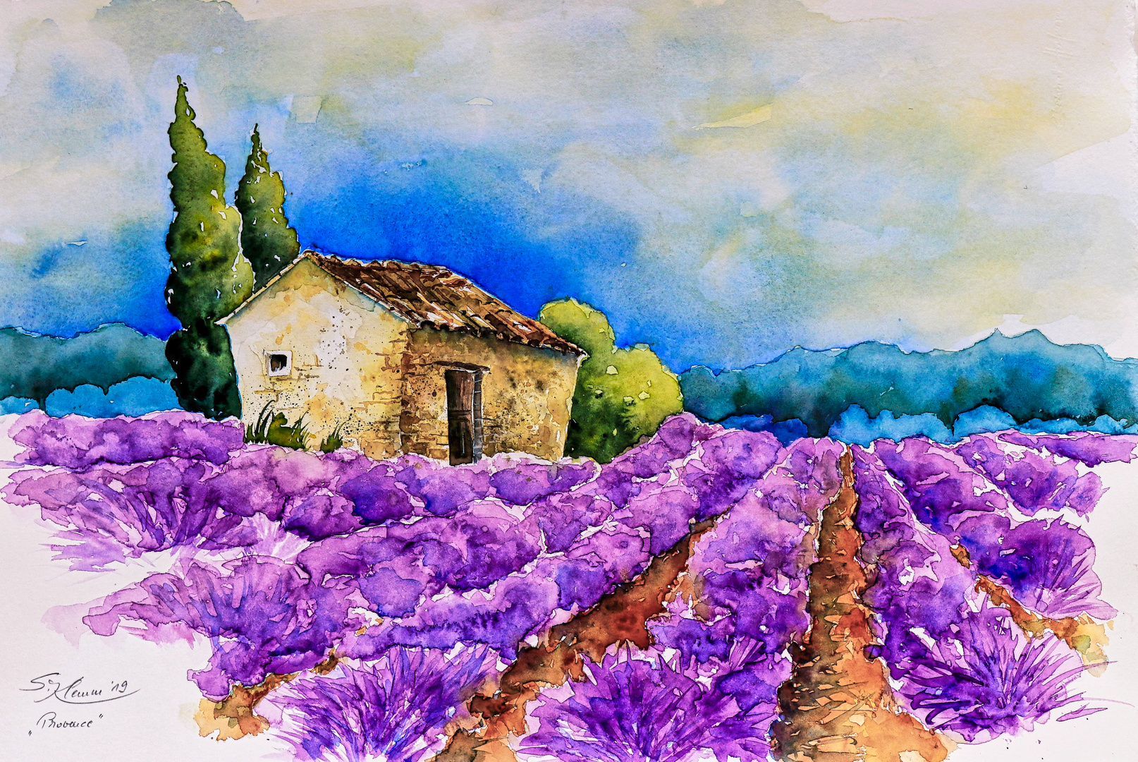 Provence (Lavendelfeld)