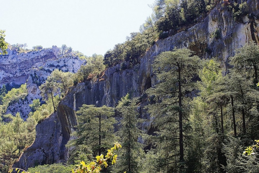 provence mon amour