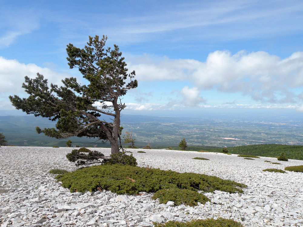 Provence - Mont Ventoux