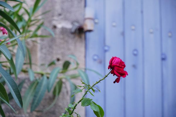 Provence ohne Lavendel