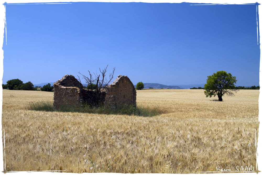 Provence, Plateau de Valensole