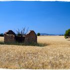 Provence, Plateau de Valensole