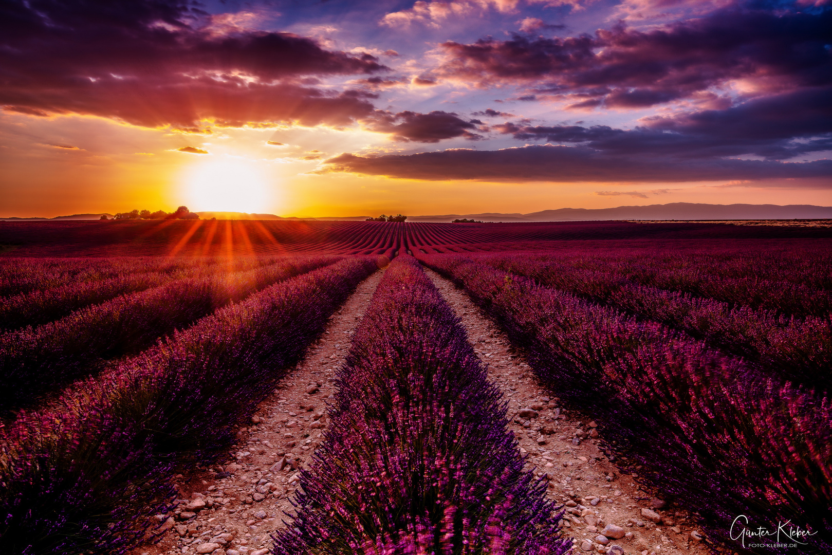 Provence Sunset