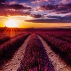 Provence Sunset