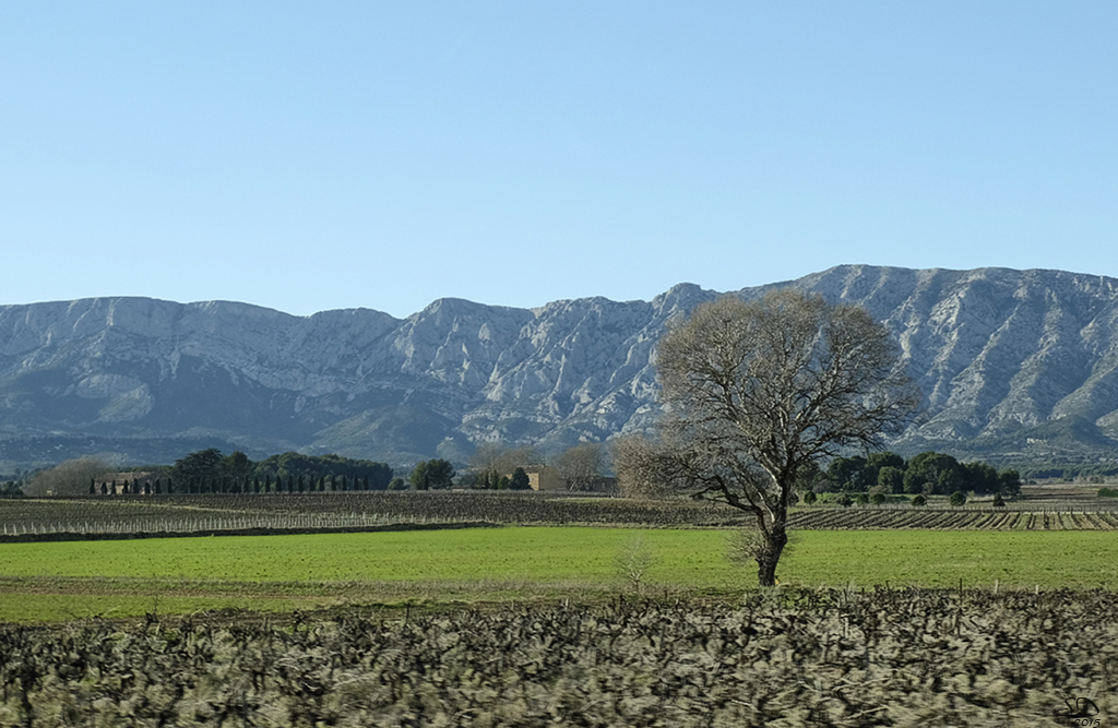 Provence verte sous Sainte Victoire