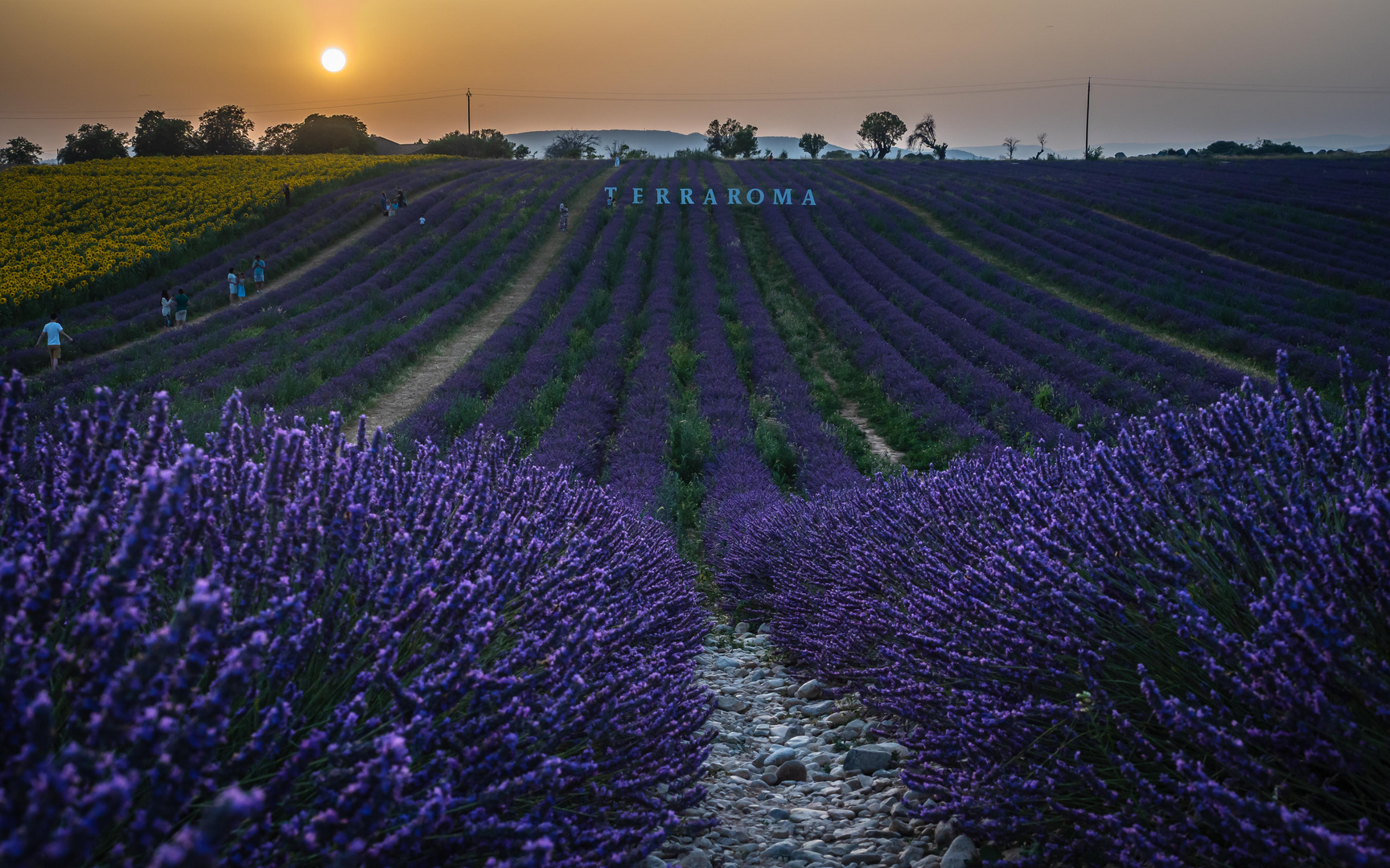 Provenceidylle