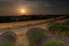 Provence_im_Juni_2019-2