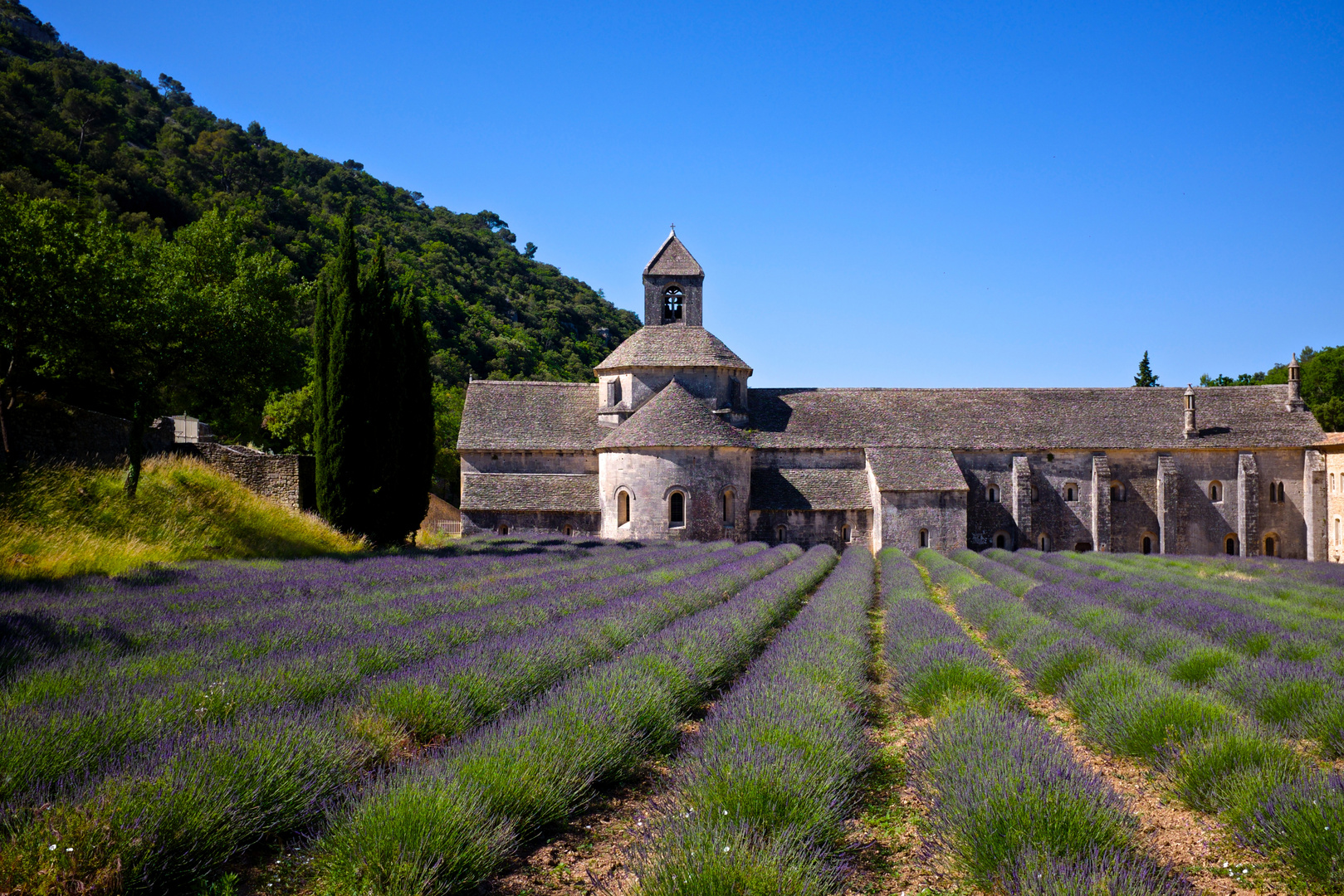 Provenza / 3 abbazia di Senanque