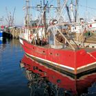 Provincetown Hafen 1