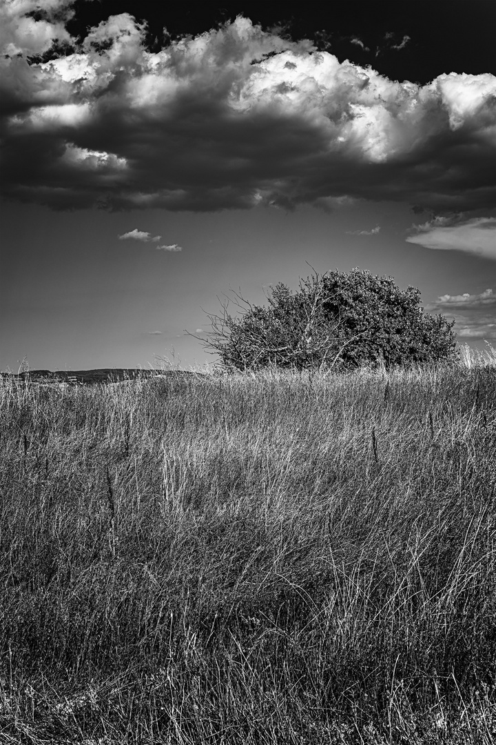 Provincia di Siena # 006