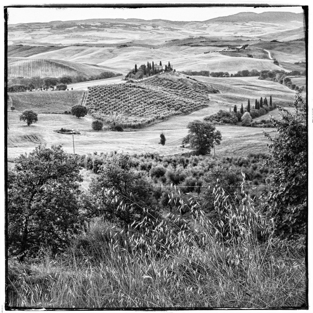 Provincia di Siena # 008