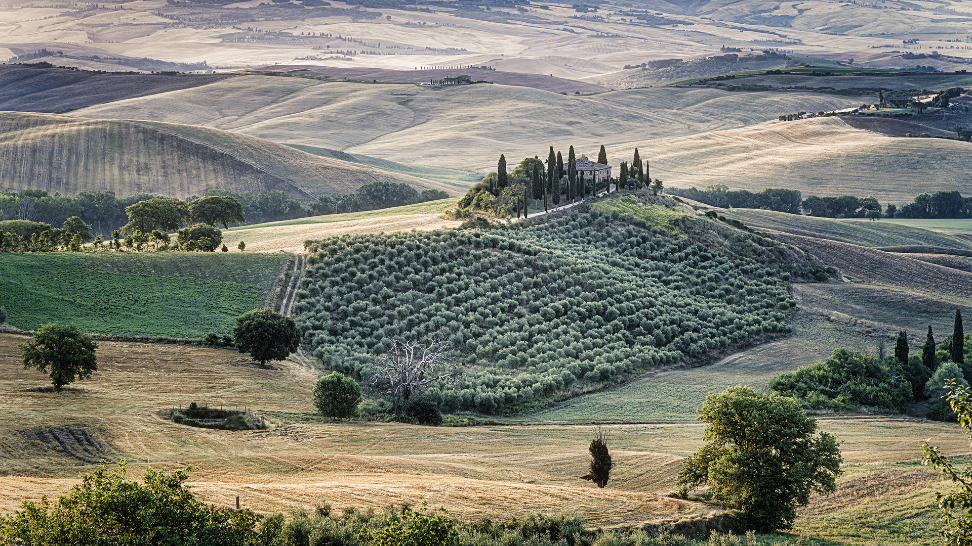 Provincia di Siena # 009