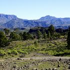 Provinz Las Palmas (Gran Canarias)