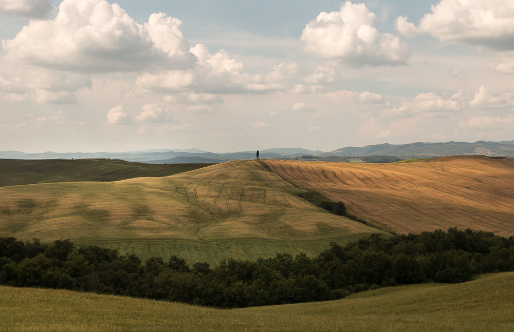 Provinz Siena