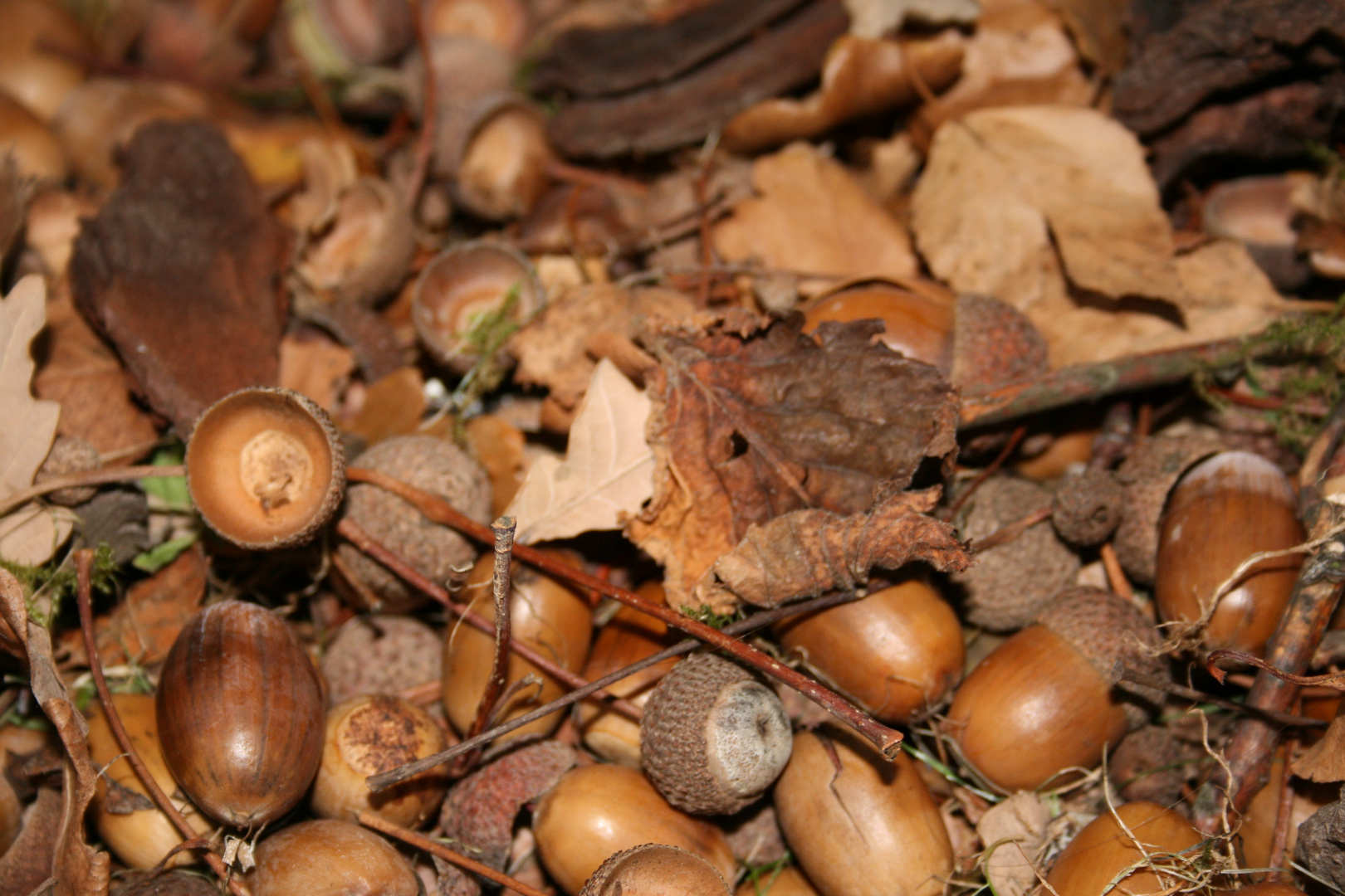 Provision pour l'hiver