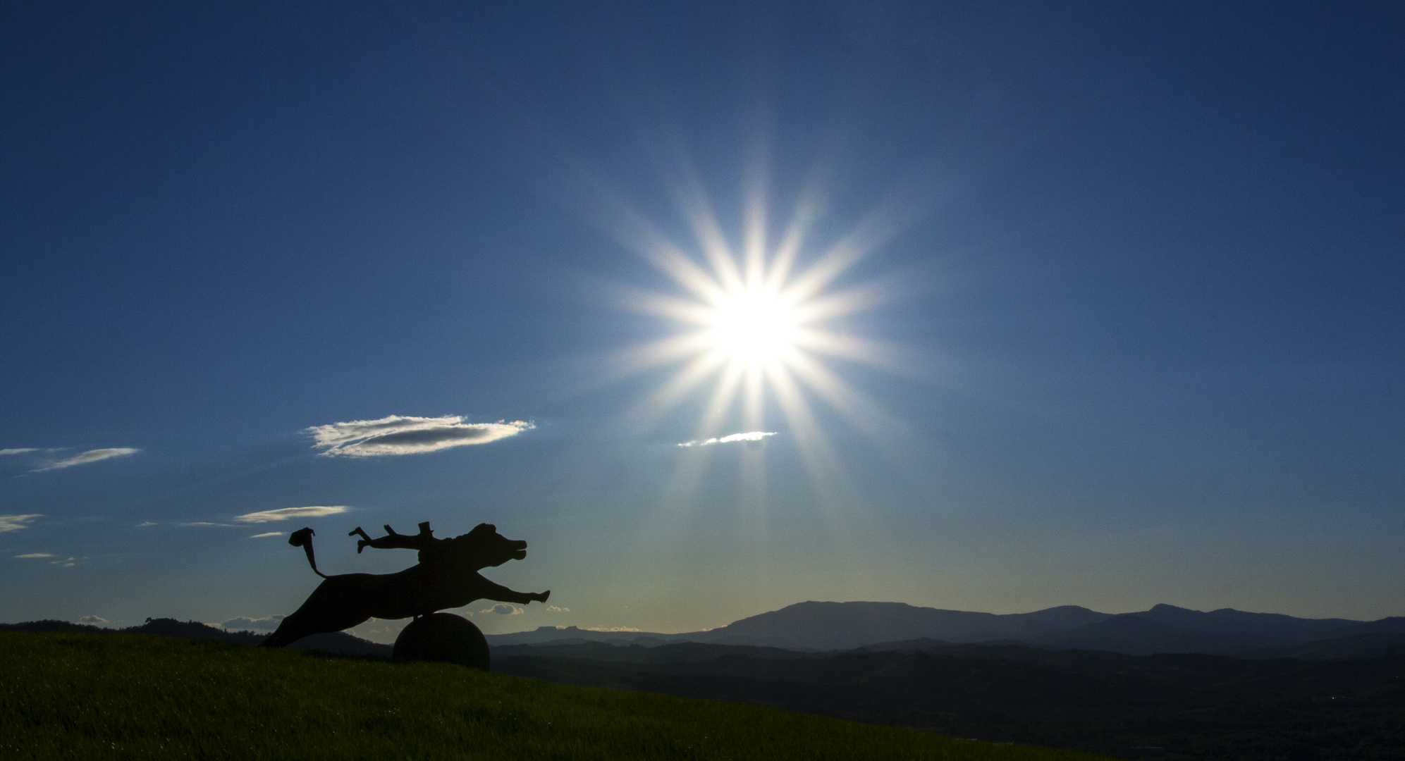 Provo a prenderti volando