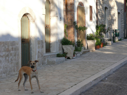 Provvidenti, Molise, Italien 8