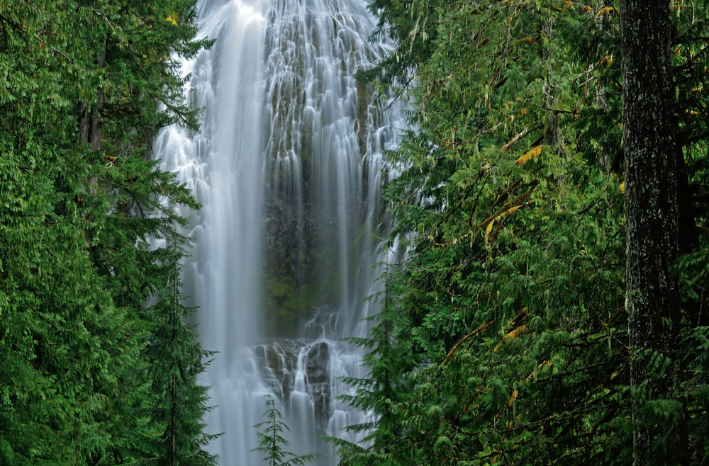 Proxy Falls