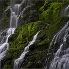 Proxy Falls