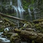 Proxy Falls