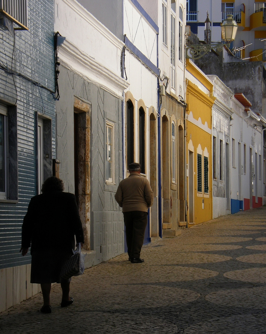 Proyecto Retrato de una Calle. Lagos.