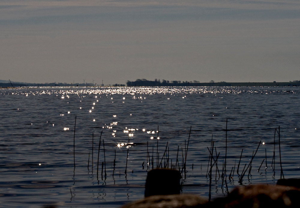 Præstø Bugt