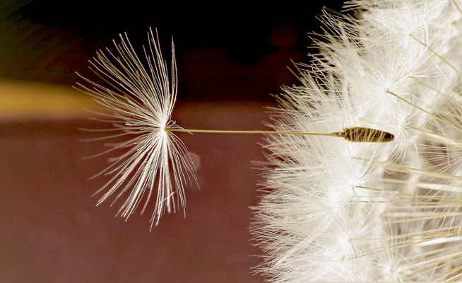 Prête pour l'aventure