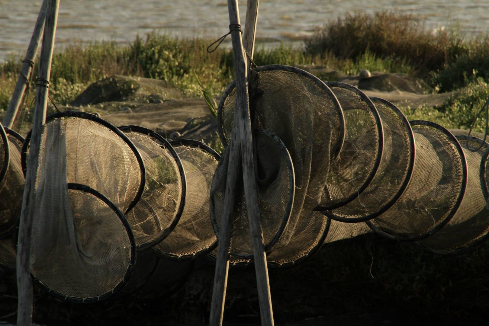 Prêts pour une pêche miraculeuse?