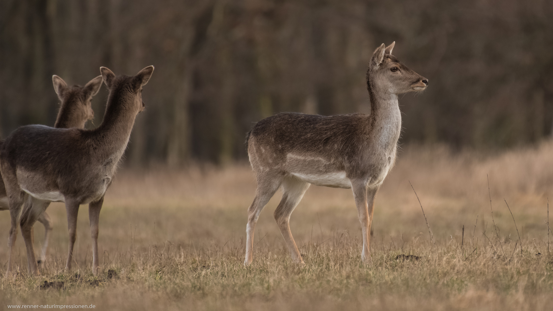 prüfender Blick