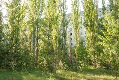 Prypiat - Avanhard Stadium - Playing Field