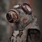 User Profile Photo
